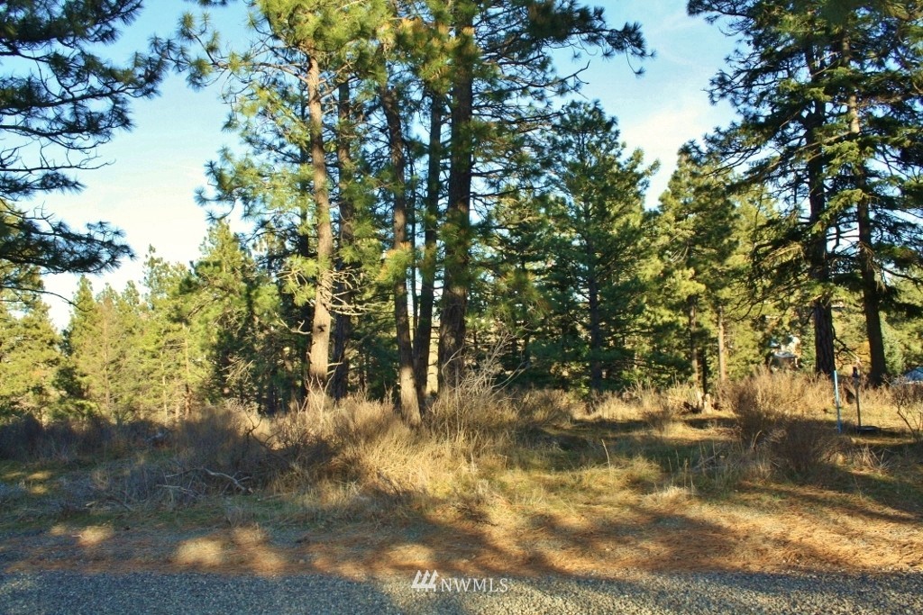 13 Ridge Loop Road Cle Elum, WA 98922 - Photo 10 of 11 Gallery Image 10