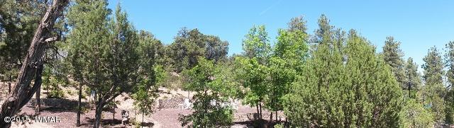 988 Buckhorn Road Show Low, AZ 85901 - Photo 14 of 33 Gallery Image 14
