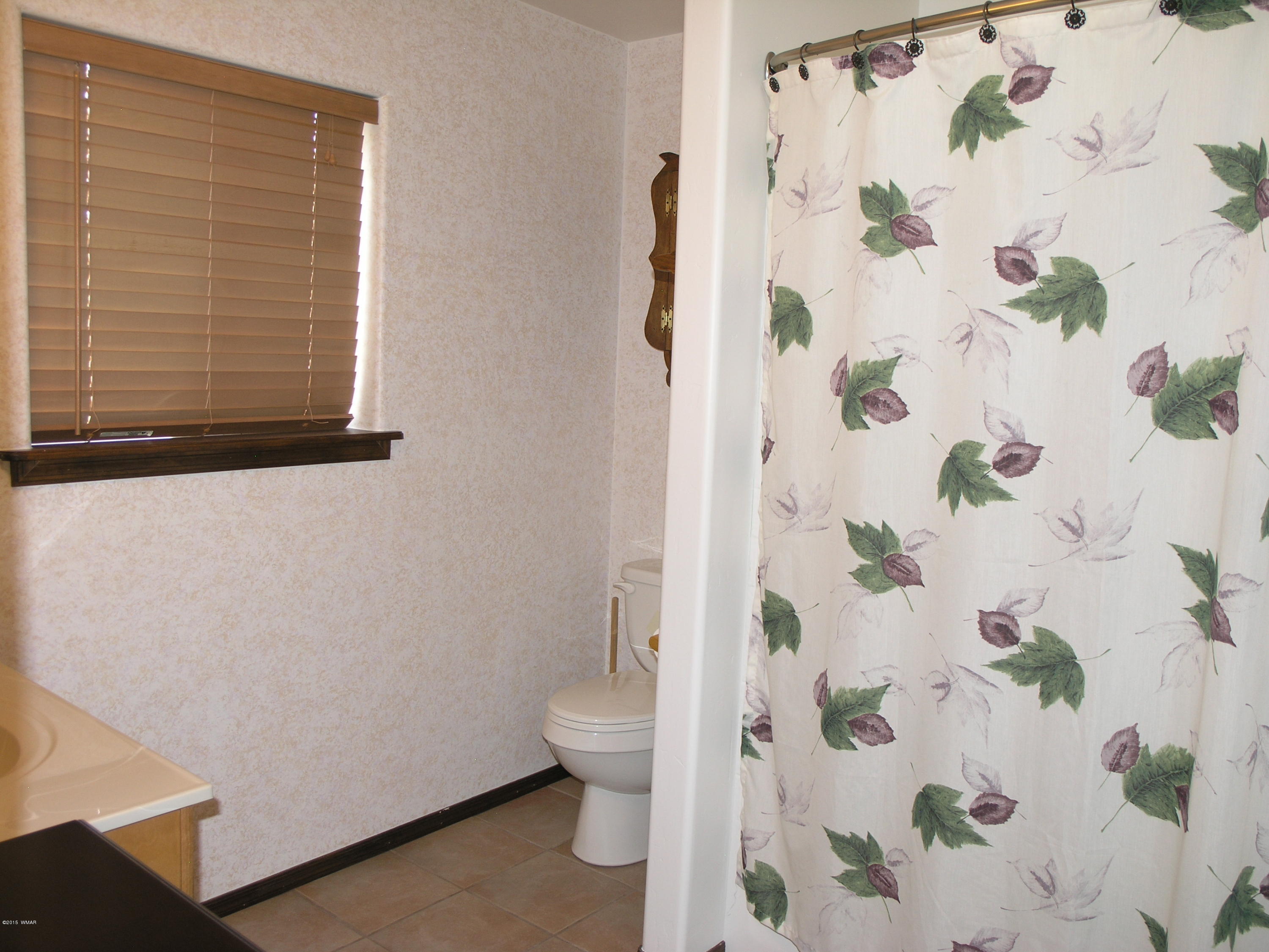 988 Buckhorn Road Show Low, AZ 85901 - Photo 29 of 33 Gallery Image 29