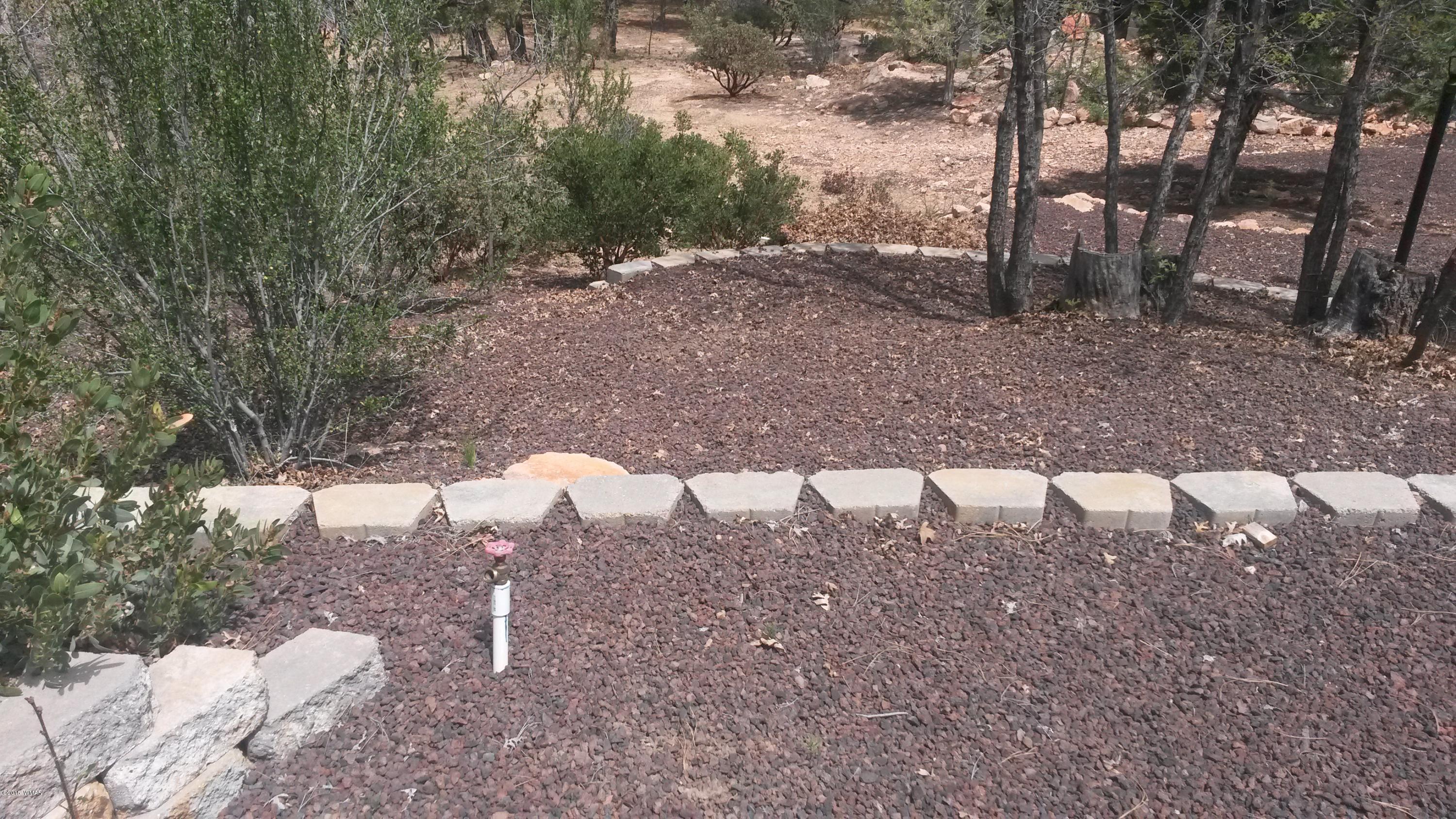 988 Buckhorn Road Show Low, AZ 85901 - Photo 32 of 33 Gallery Image 32