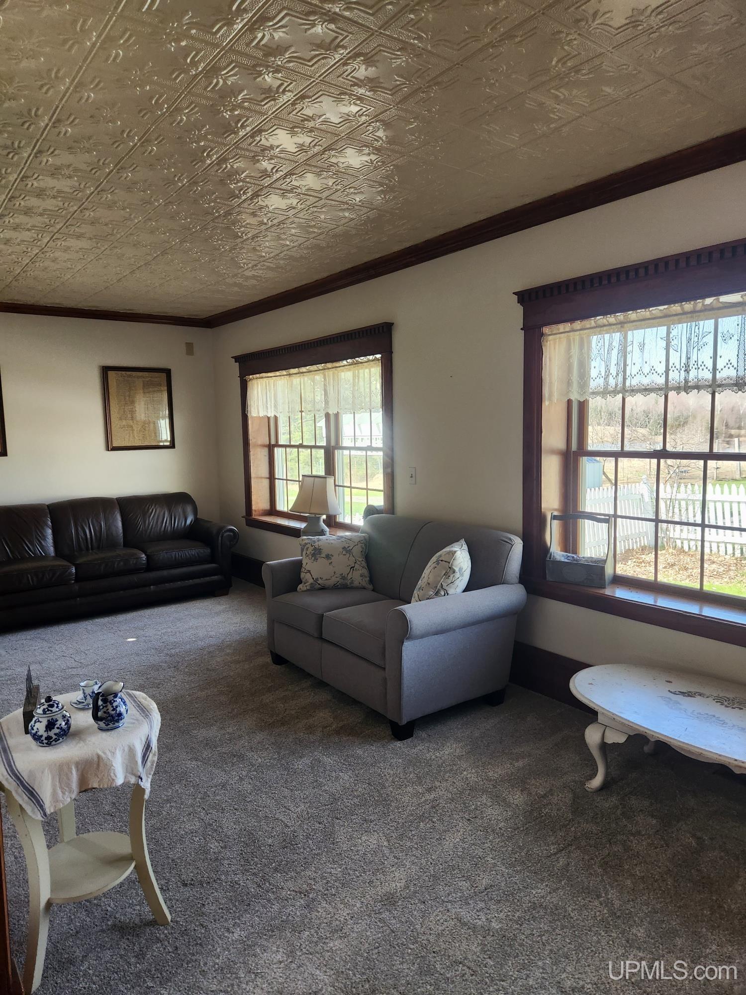 229 Section 6 Road Crystal Falls, MI 49920 - Photo 8 of 37