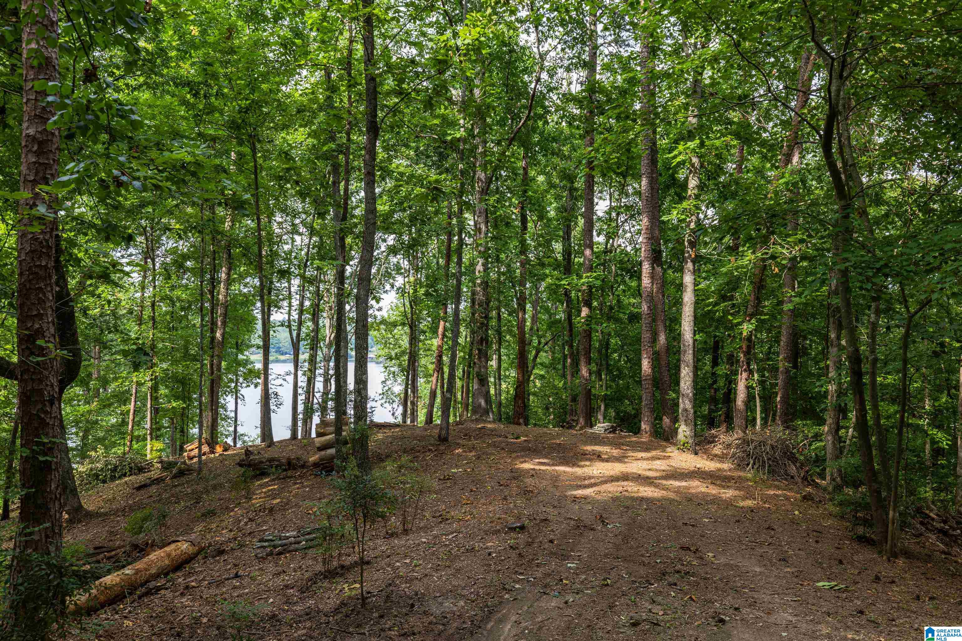 58 East Sunset Boulevard Oneonta, AL 35121 - Photo 19 of 40