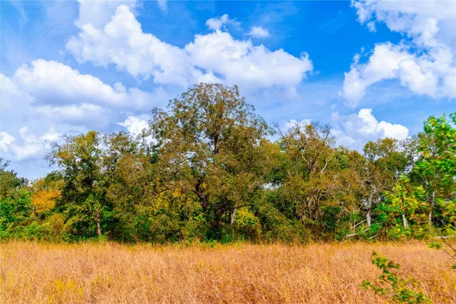 $1,100,000 | 159 Brushy Creek Trail, Hutto, TX 78634