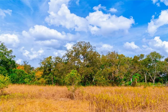 $1,100,000 | 159 Brushy Creek Trail, Hutto, TX 78634