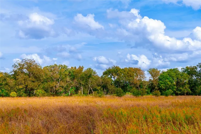 $1,100,000 | 159 Brushy Creek Trail, Hutto, TX 78634