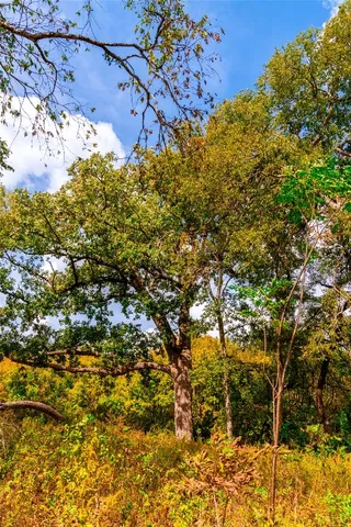 $1,100,000 | 159 Brushy Creek Trail, Hutto, TX 78634