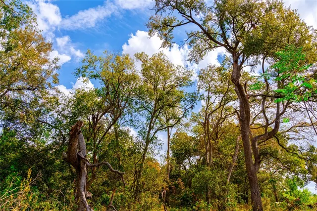 $1,100,000 | 159 Brushy Creek Trail, Hutto, TX 78634