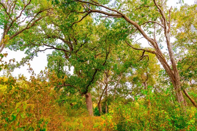 $1,100,000 | 159 Brushy Creek Trail, Hutto, TX 78634