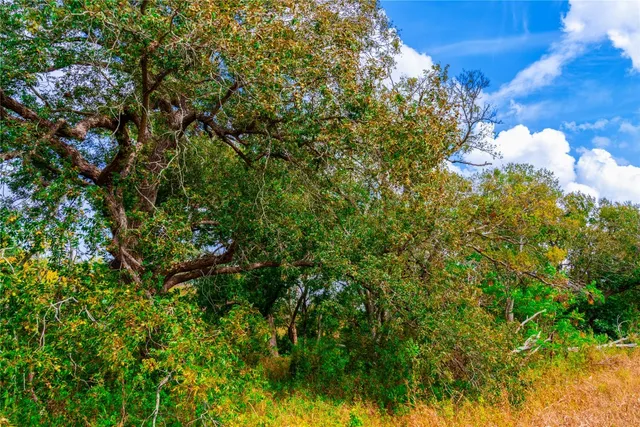 $1,100,000 | 159 Brushy Creek Trail, Hutto, TX 78634