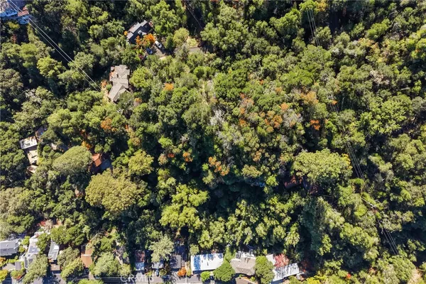 a view of a large yard with lots of plants