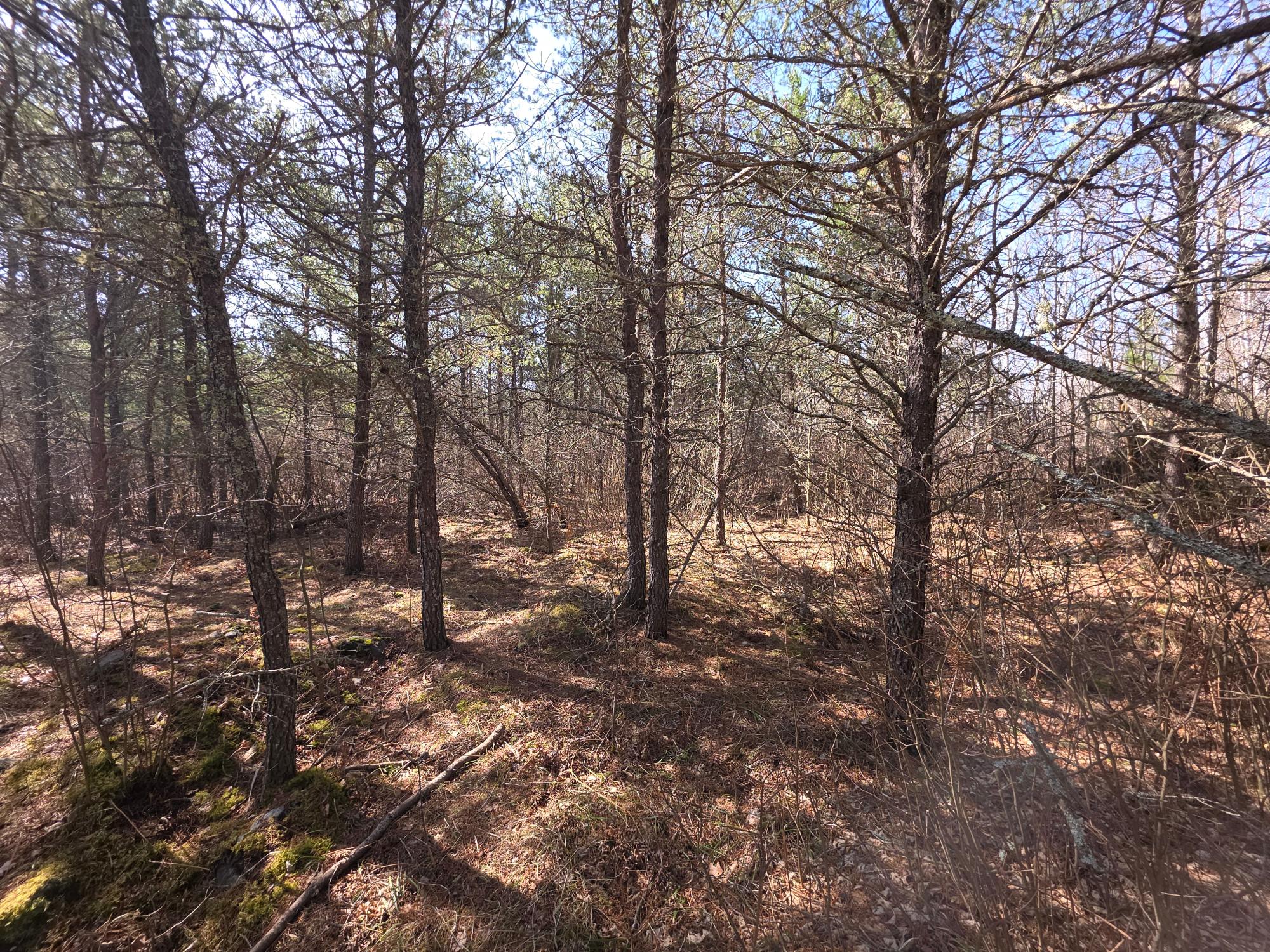 11264 Brown Road Tomahawk, WI 54487 - Photo 28 of 29 Gallery Image 28
