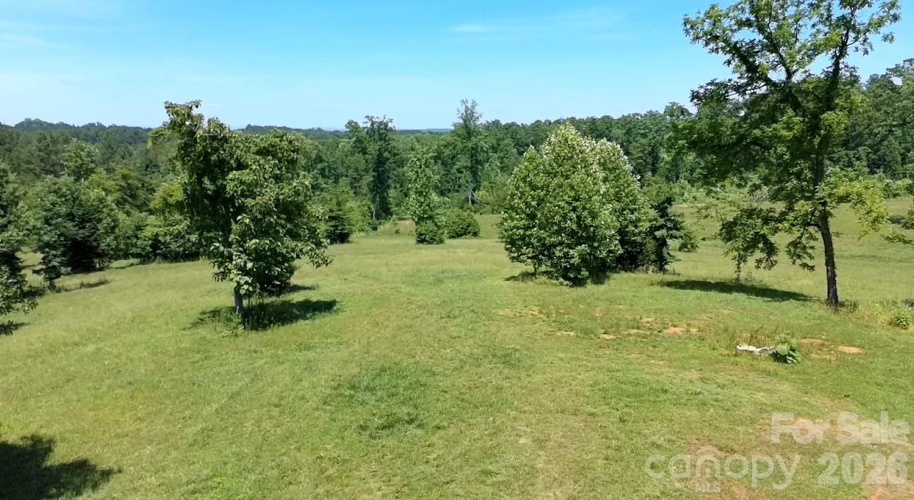 473 McEntire Road Tryon, NC 28782 - Photo 14 of 18