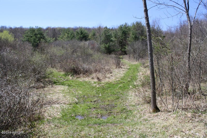 480 Trowbridge Station Road Millerton, PA 16936 - Photo 40 of 77 126390-40