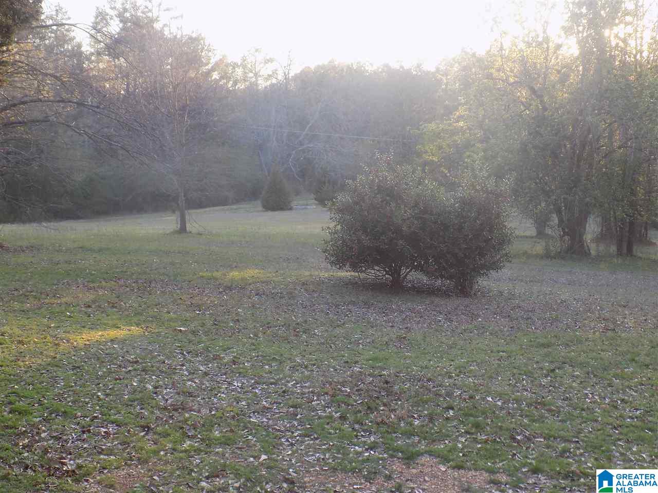 492 Kudzu Road Oneonta, AL 35121 - Photo 26 of 27 Gallery Image 26