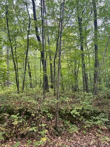 $16,900 | Xxx Marble Drive, Cushing, MN 56443