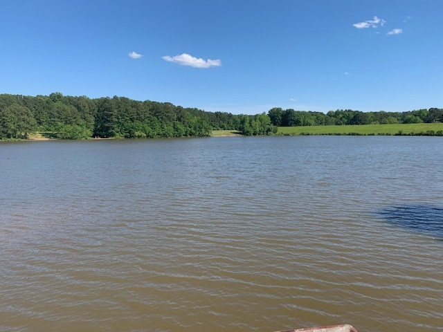 Shelly Lake