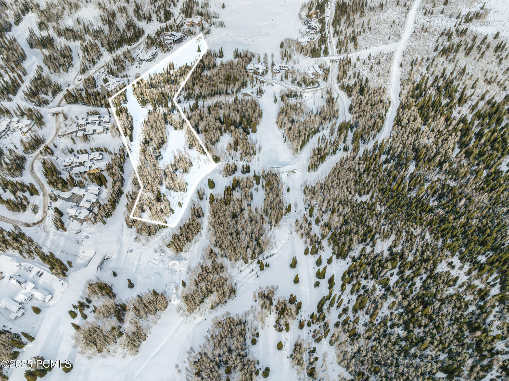 277 White Pne Cyn Road Park City, UT 84060 - Photo 7 of 12