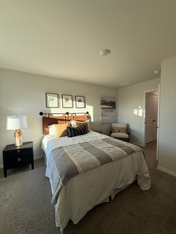 317 Clematis Street Princeton, TX 75407 - Photo 17 of 38 Bedroom featuring dark carpet and baseboards
