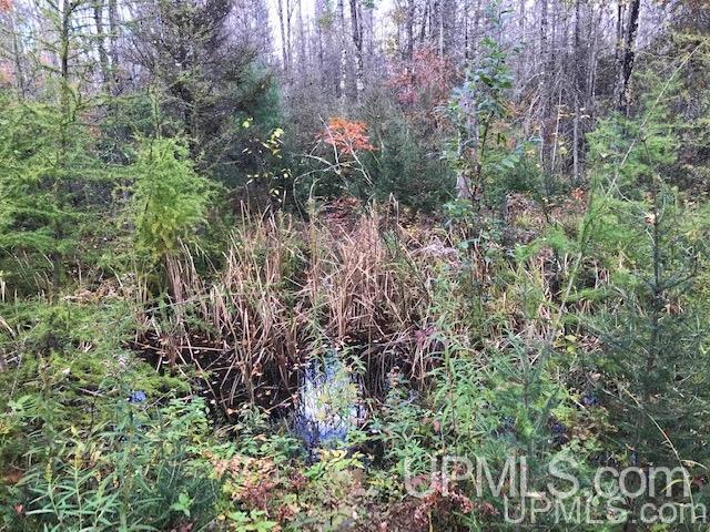 T-wi Weckerle Road Pembine, WI 54156 - Photo 28 of 36