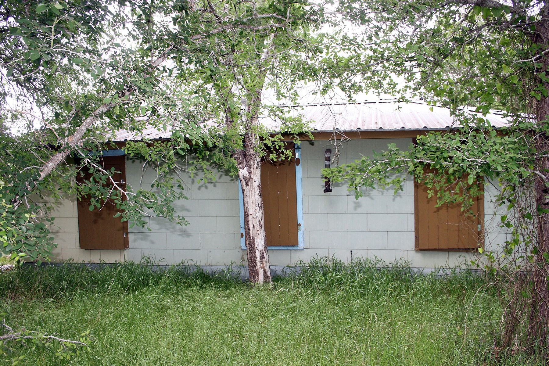 7887 Pettytown Road Red Rock, TX 78662 - Photo 15 of 26 an outdoor view