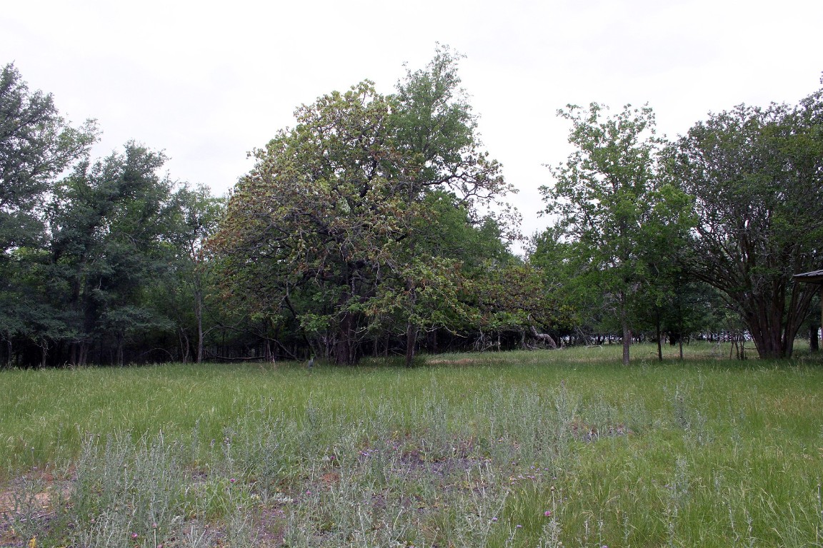 7887 Pettytown Road Red Rock, TX 78662 - Photo 2 of 26 a view of outdoor space with deck and yard