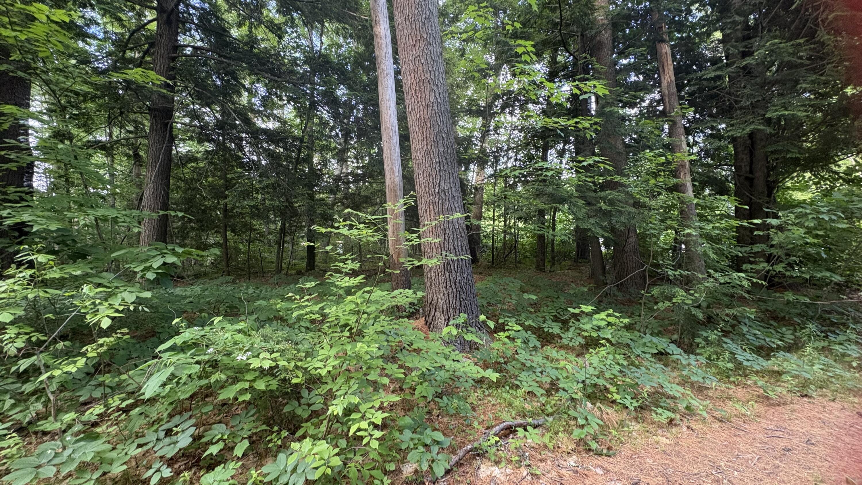 17 Augusta Rockland Road Windsor, ME 04363 - Photo 9 of 11 IMG_9702