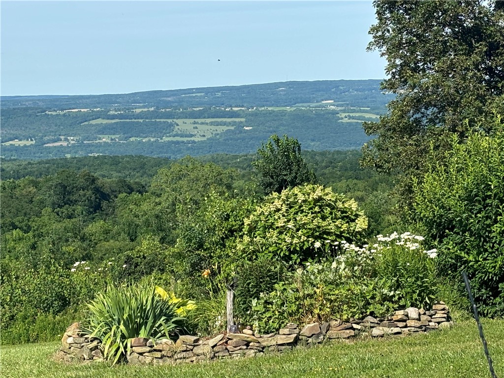 3568 Redmond Road West Sparta, NY 14517 - Photo 5 of 31