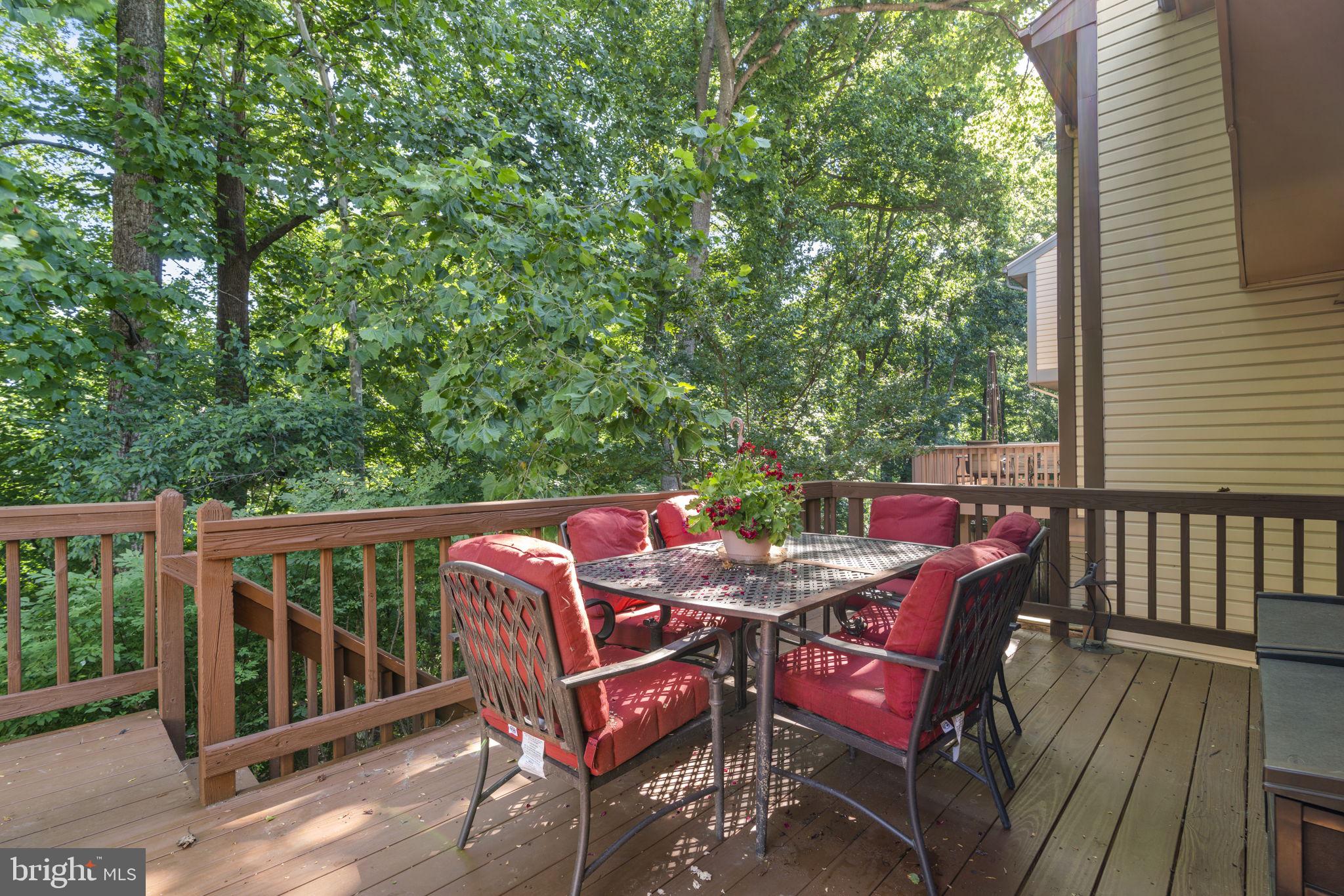 1647 Hugo Circle Silver Spring, MD 20906 - Photo 11 of 32