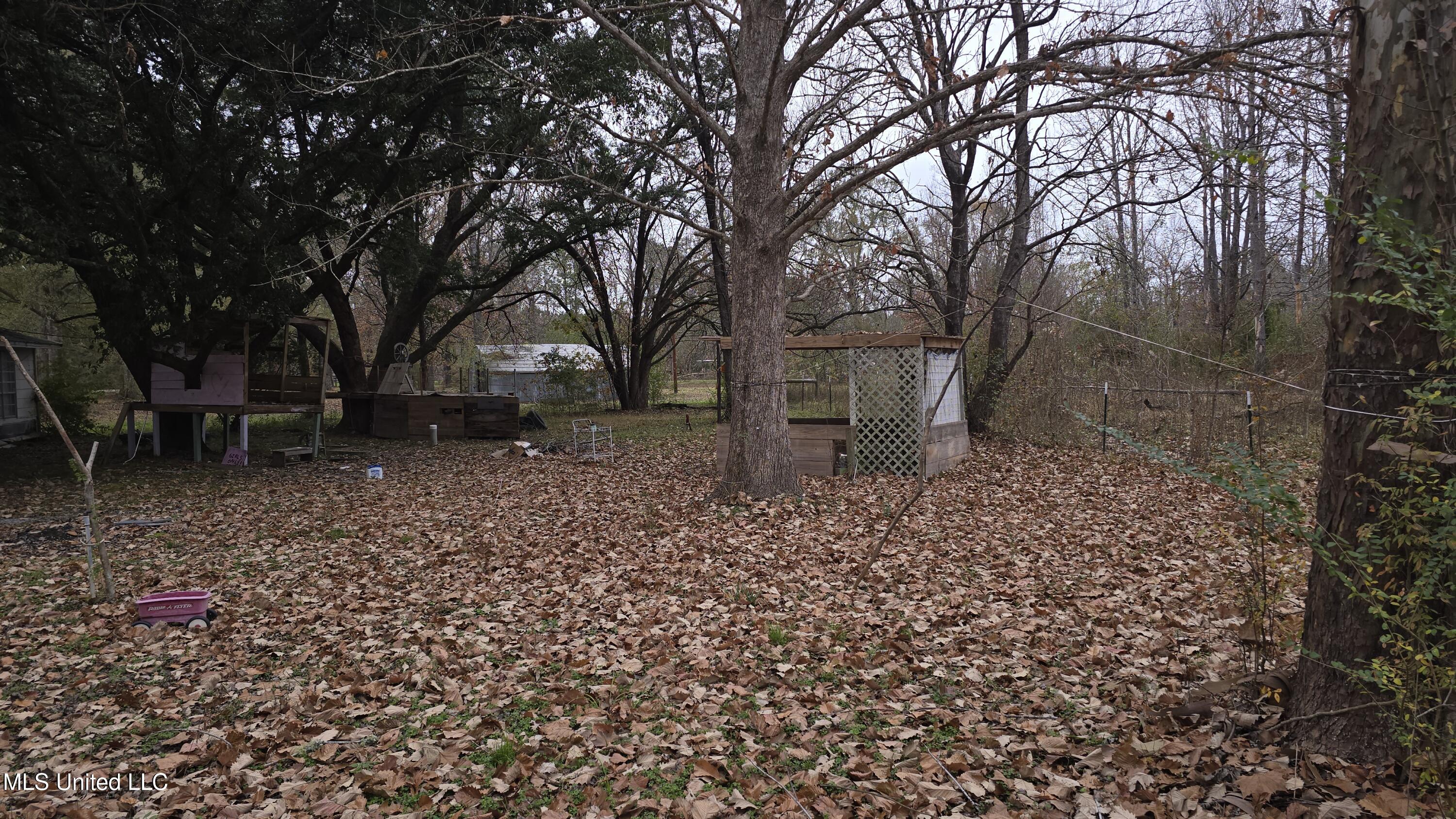 6427 Highway 33 Roxie Ms 39661 Roxie, MS 39661 - Photo 20 of 29 20251217_111324