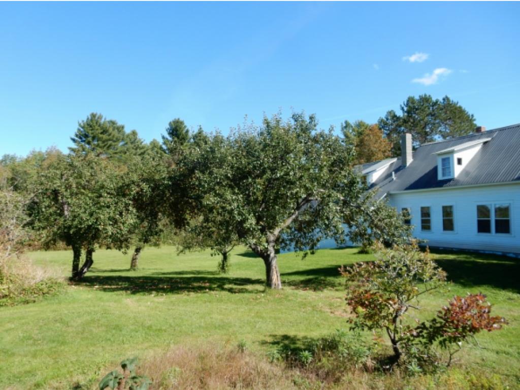 505 North Shore Road Greensboro, VT 05841 - Photo 3 of 16