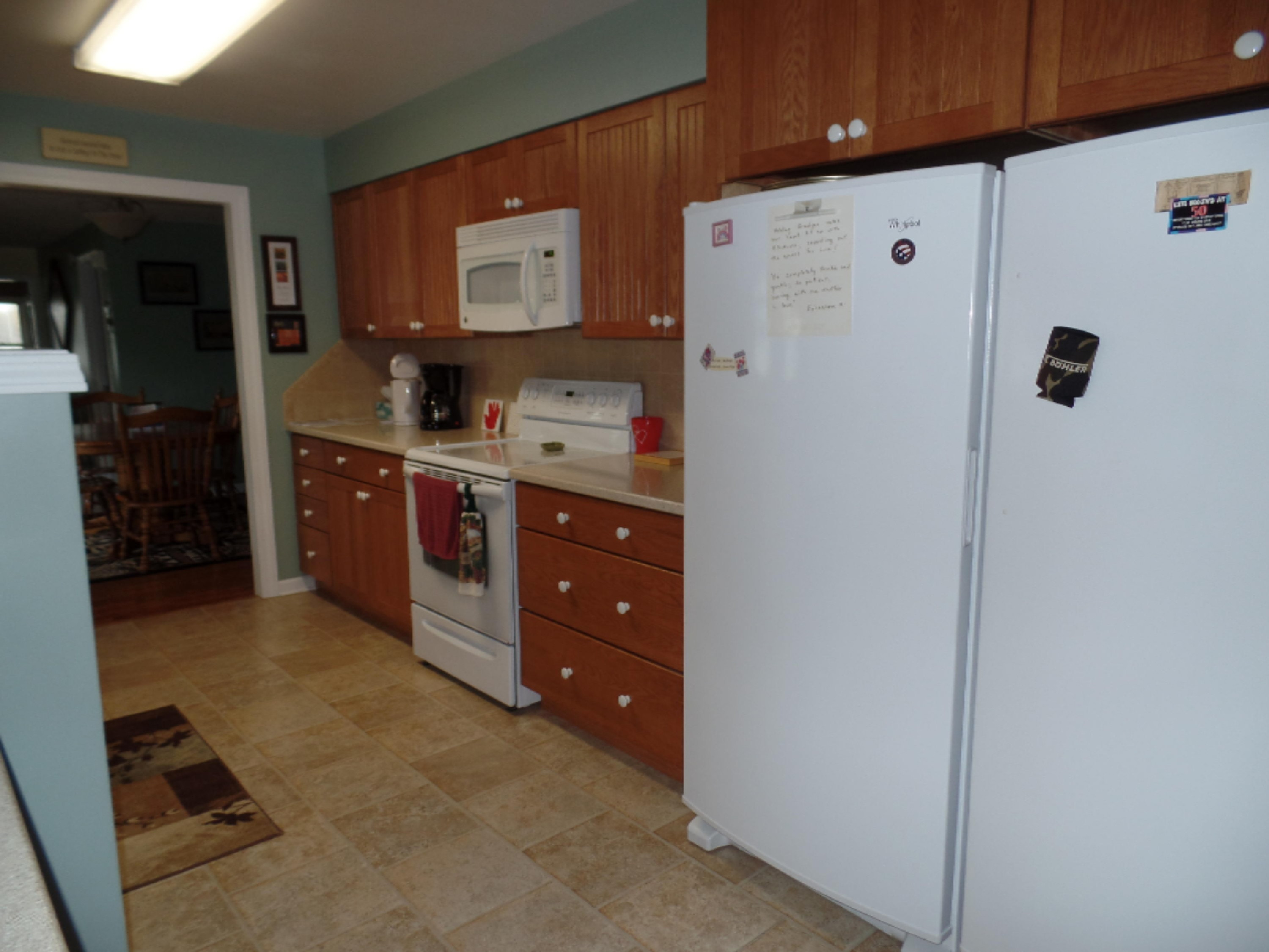 638 Eagle Point Road Lake Odessa, MI 48849 - Photo 11 of 17 SAM_2231