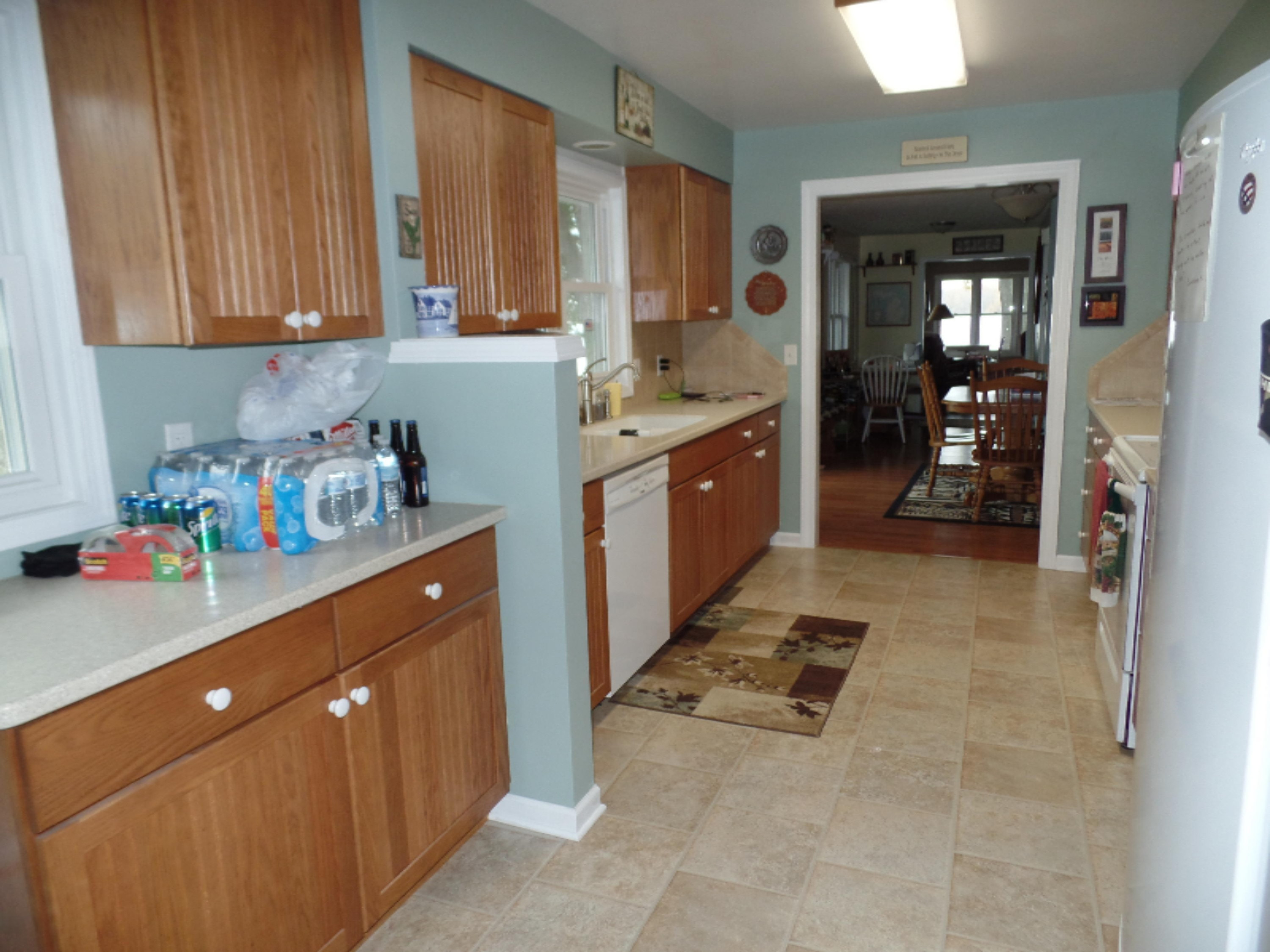 638 Eagle Point Road Lake Odessa, MI 48849 - Photo 9 of 17 SAM_2230