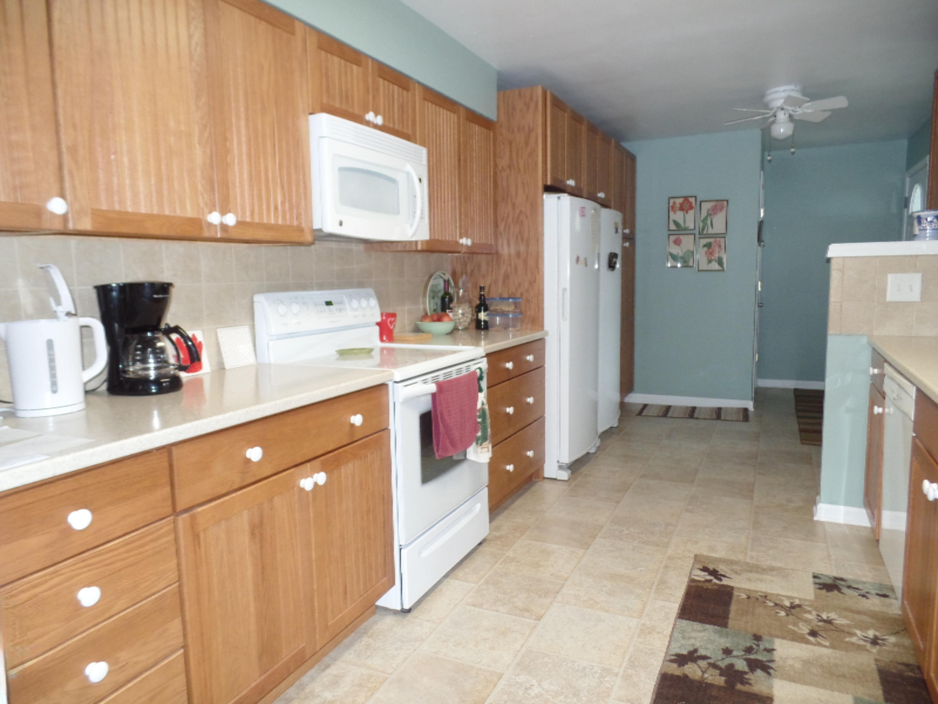 638 Eagle Point Road Lake Odessa, MI 48849 - Photo 10 of 17 SAM_2233