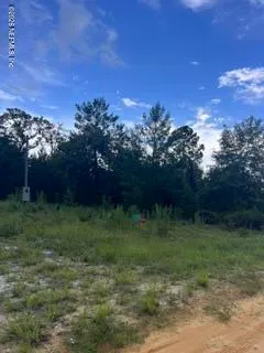 $12,000 | 325 Maltas Avenue, Interlachen, FL 32148