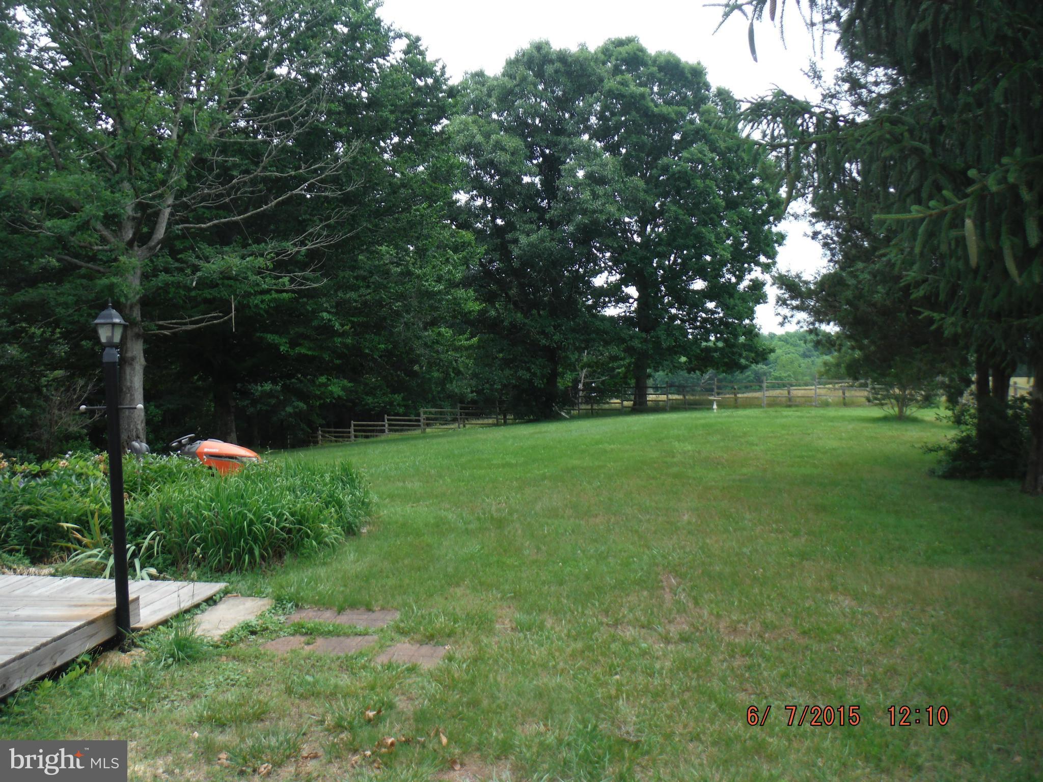 23229 Fox Neck Road Lignum, VA 22726 - Photo 4 of 21 back yard