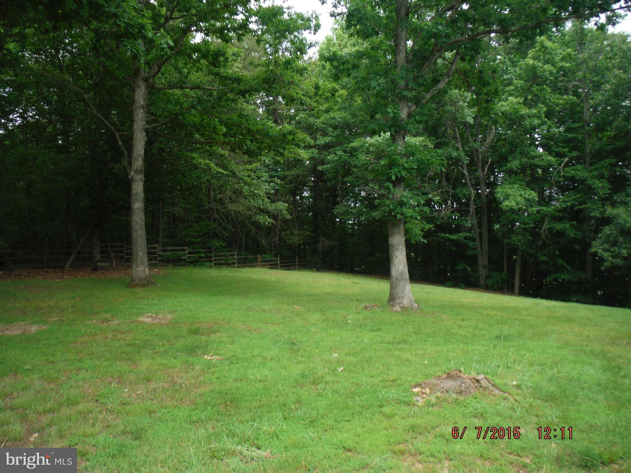 23229 Fox Neck Road Lignum, VA 22726 - Photo 5 of 21 back yard