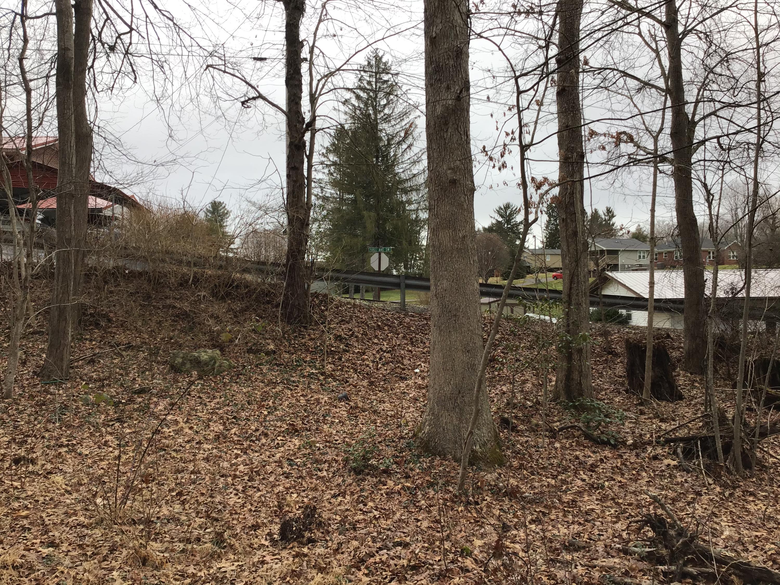 Tbd Patterson Avenue Wise, VA 24293 - Photo 2 of 7 Parcel #1 (0.5 AC)