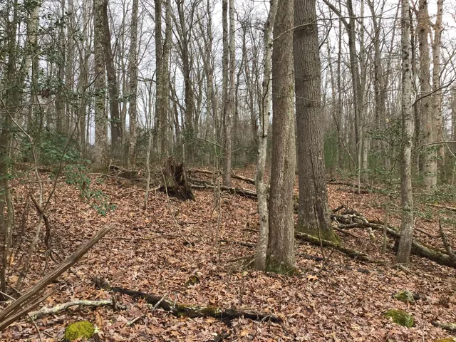 $40,000 | Tbd Patterson Avenue, Wise, VA 24293