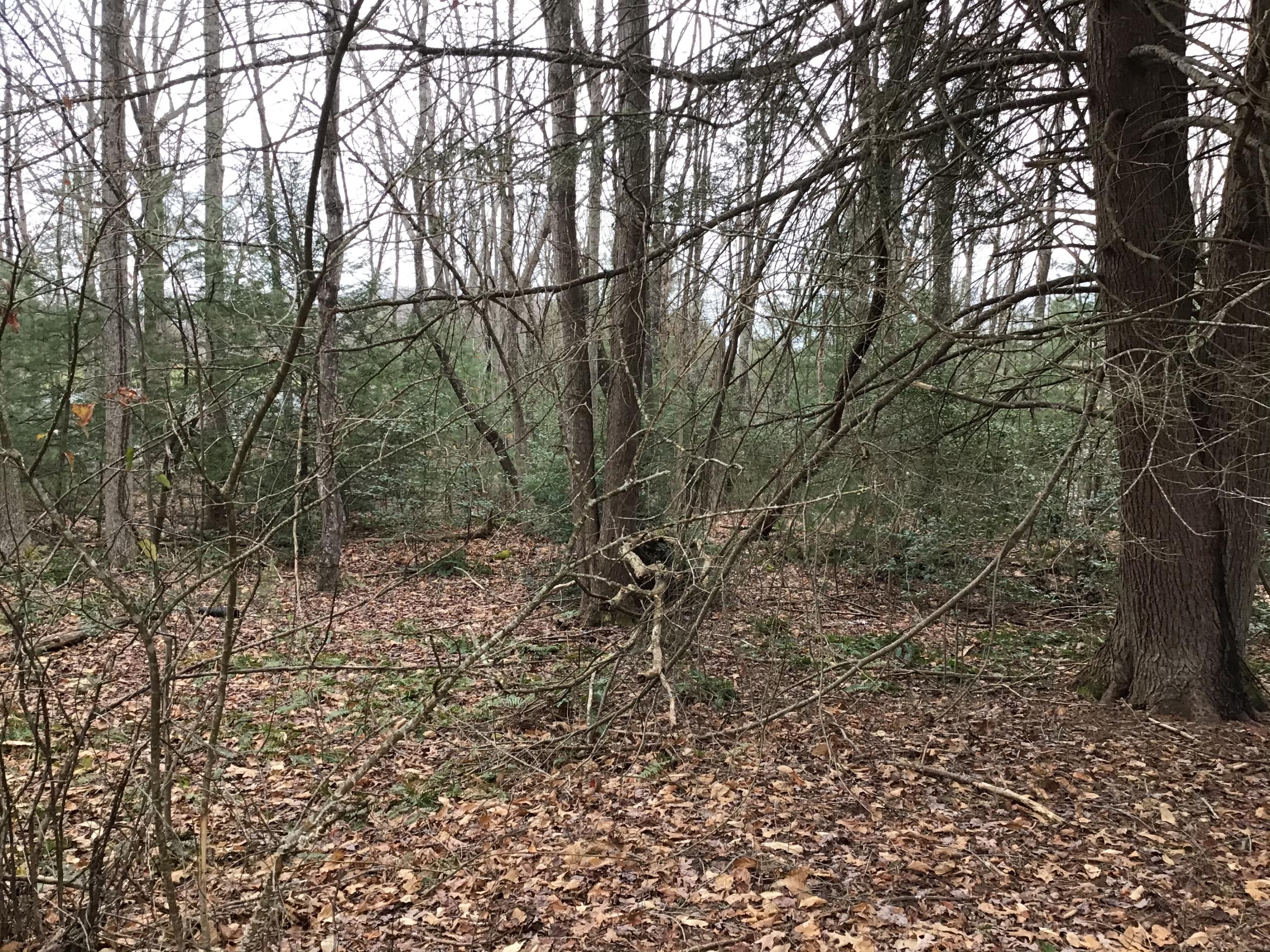 Tbd Patterson Avenue Wise, VA 24293 - Photo 4 of 7 Parcel #2 (0.5 AC)