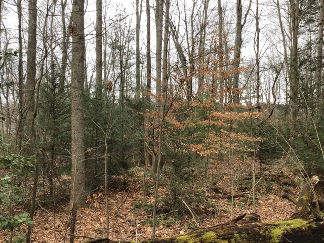 $40,000 | Tbd Tbd Hall Avenue Avenue, Wise, VA 24293