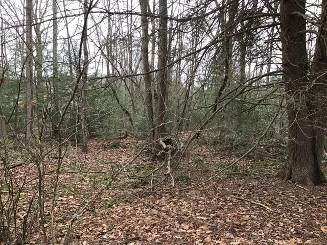 $40,000 | Tbd Tbd Hall Avenue Avenue, Wise, VA 24293