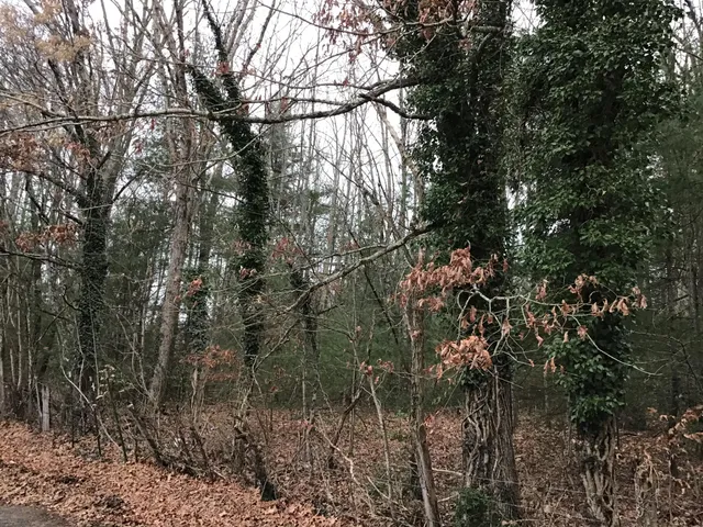 $40,000 | Tbd Patterson Avenue, Wise, VA 24293