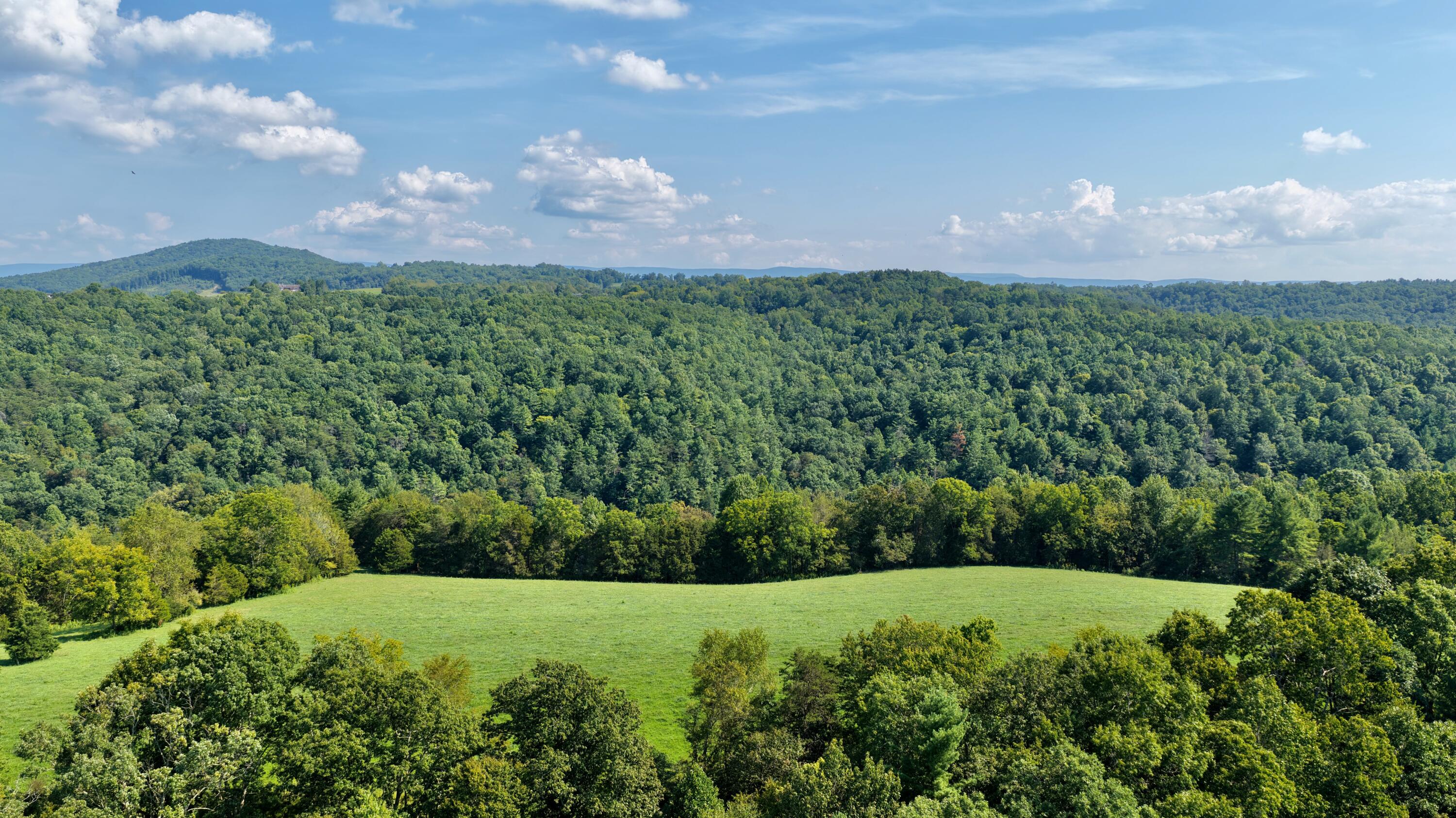 3513 War Ridge Road Wayside, WV 24985 - Photo 64 of 71 Gallery Image 64
