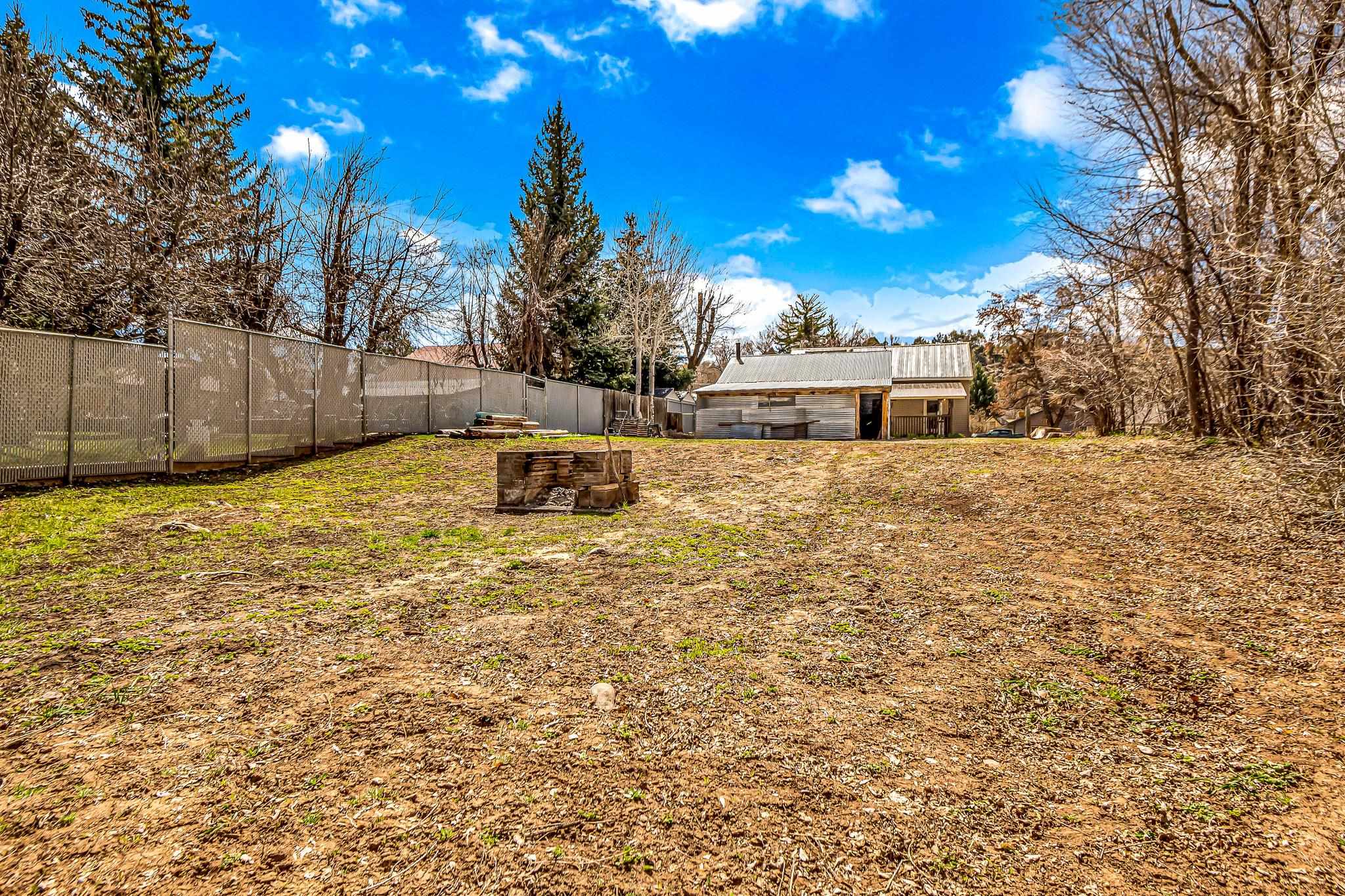 231 Spring Street Collbran, CO 81624 - Photo 24 of 30 Gallery Image 24
