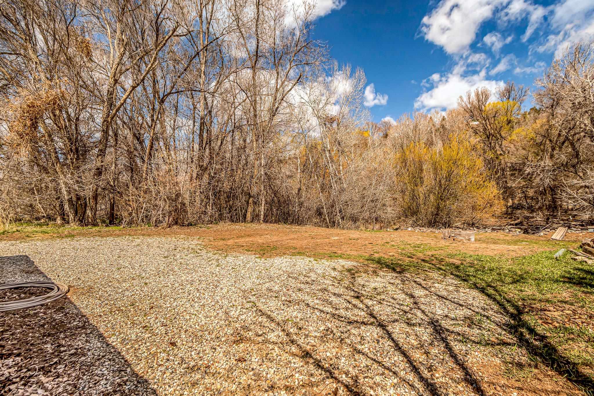 231 Spring Street Collbran, CO 81624 - Photo 27 of 30 Gallery Image 27