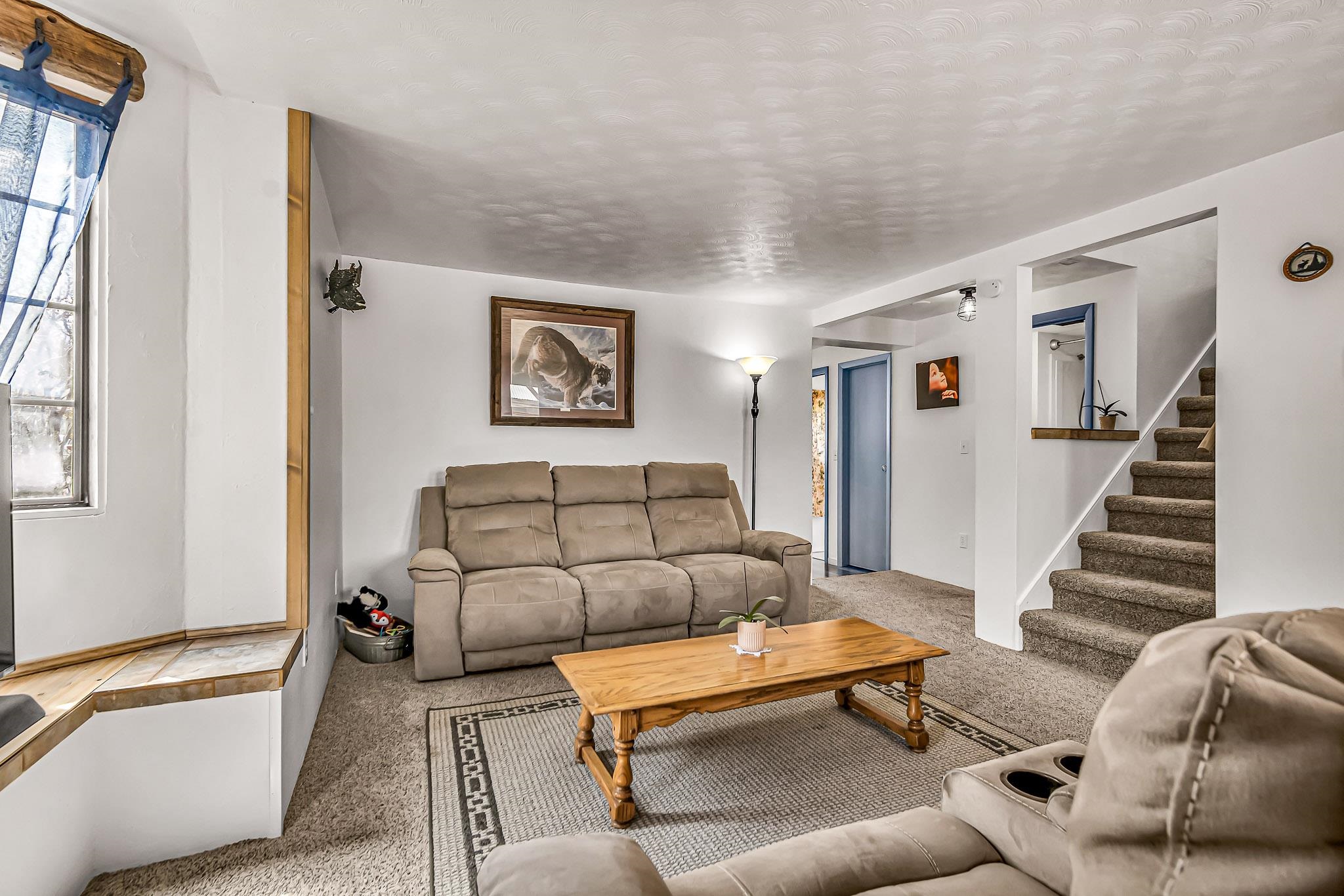 231 Spring Street Collbran, CO 81624 - Photo 5 of 30 Gallery Image 5