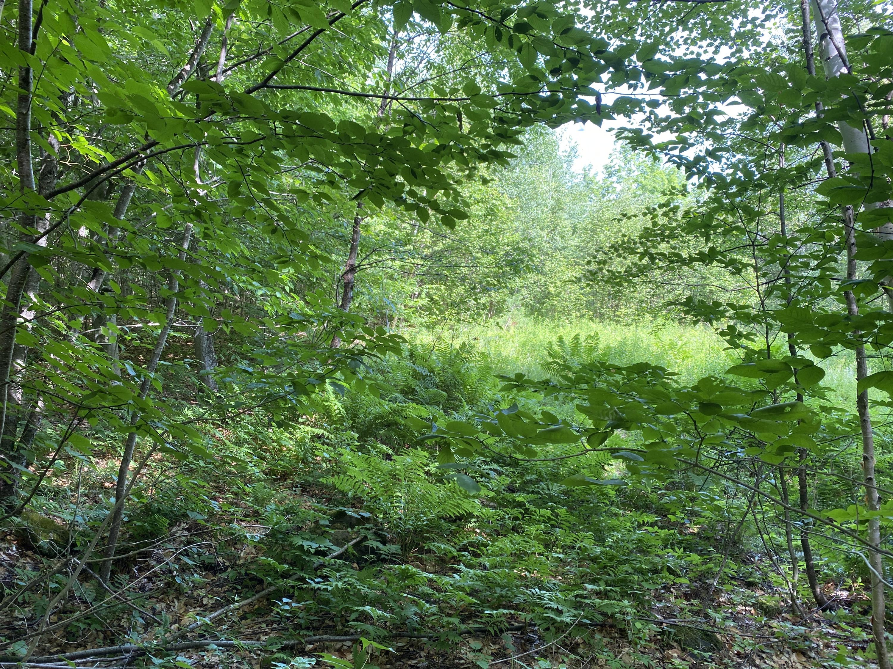 596 Valley Road Anson, ME 04911 - Photo 14 of 16 IMG_0673