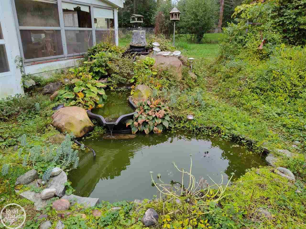 3785 Rives Eaton Road Rives Junction, MI 49277 - Photo 29 of 41 frog pond
