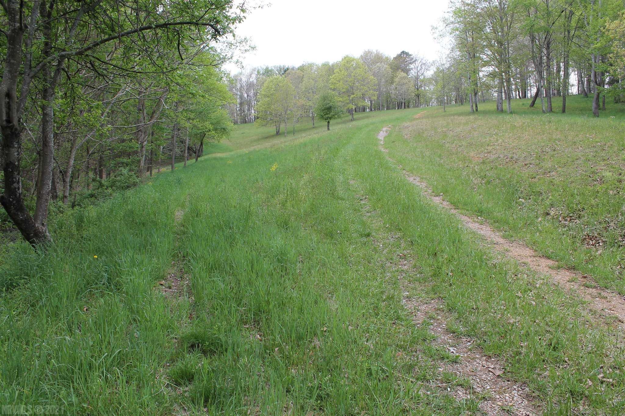 Tbd Lowmans Ferry Road Pulaski, VA 24301 - Photo 5 of 11 Gallery Image 5