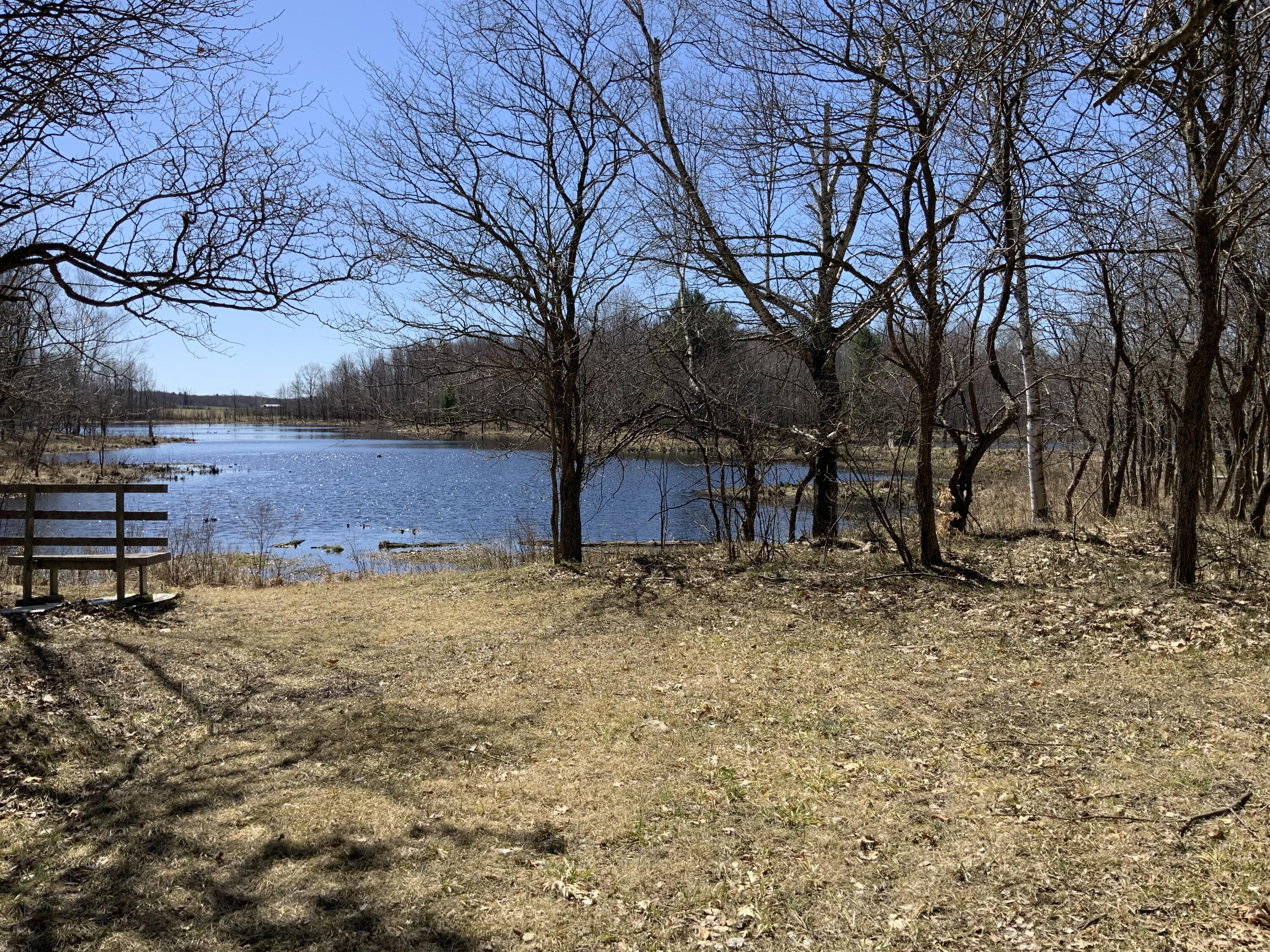 16583 10 Mile Road Reed City, MI 49677 - Photo 31 of 46 IMG_2020